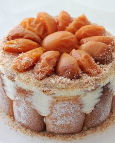 Шарлотка с английским ванильным кремом