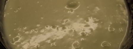 шарлотка с английским ванильным кремом. Шаг 16