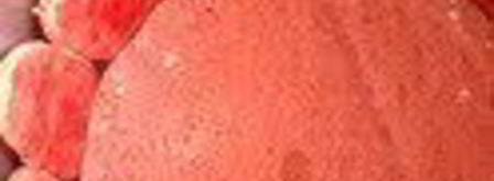 шарлотка с запеченным ревенем, баварским фисташковым кремом и клубникой. Шаг 16