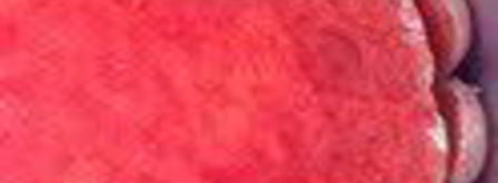 шарлотка с запеченным ревенем, баварским фисташковым кремом и клубникой. Шаг 20