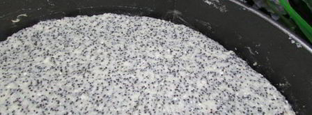 немецкий маковый творожник. Шаг 9