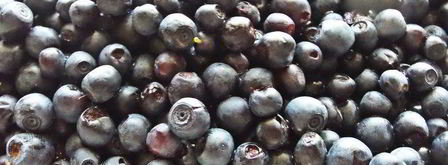 песочники с черникой. Шаг 22