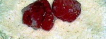 творожники на пару. Шаг 2