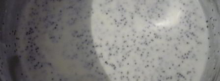 творожники в сметанно-маковом соусе. Шаг 4