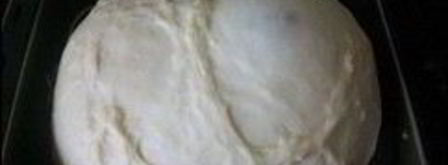 сладкое дрожжевое тесто. Шаг 11