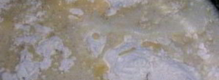 тесто сдобное для пирогов. Шаг 5