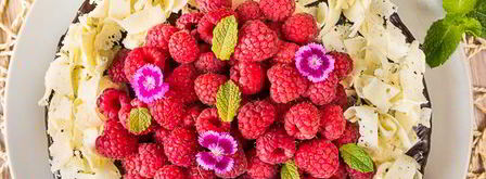 малиновый торт с шоколадом. Шаг 28