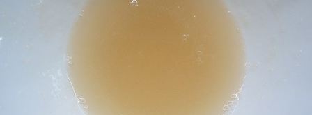 торт фрезье с фисташковым муссом. Шаг 17