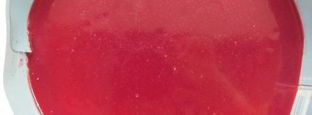 торт фрезье с фисташковым муссом. Шаг 29