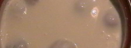 торт гнездо глухаря. Шаг 14