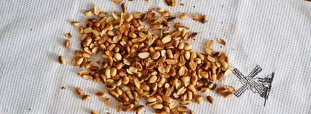 торт медовик из жидкого теста. Шаг 19