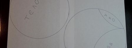 торт овца. Шаг 6