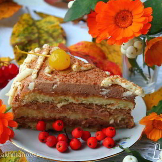 Рецепт торта с шоколадным маскарпоне
