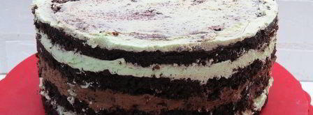 торт шоколад-мята-лимон. Шаг 20