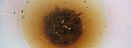 торт шоколад-мята-лимон. Шаг 5