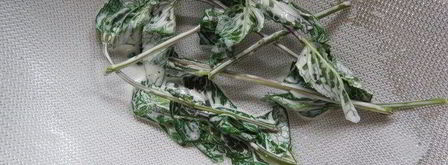 торт шоколад-мята-лимон. Шаг 7