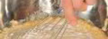 эклеры со сливочным кремом. Шаг 3