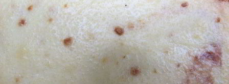 двухцветная бананово-творожная запеканка. Шаг 7