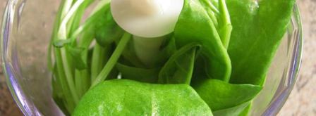 запеканка итальянцы в россии. Шаг 5