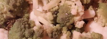 запеканка из цветных капуст. Шаг 2