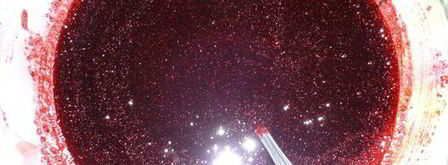 черничный джем. Шаг 2