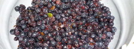 черничный джем. Шаг 5