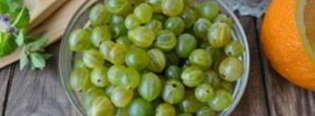 джем из крыжовника с апельсином на зиму. Шаг 2