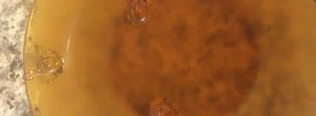 джем из персиков и нектаринов. Шаг 7