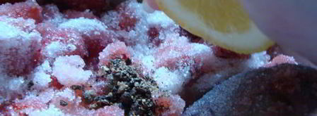 клубничный джем с ванилью и черным перцем. Шаг 6