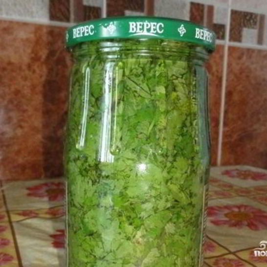 Рецепт кинзы на зиму