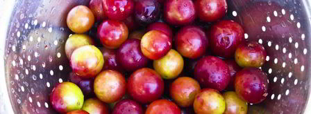 компот из алычи и яблок на зиму. Шаг 2