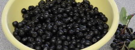 компот из черноплодки. Шаг 3