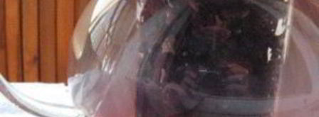 компот из изюма. Шаг 2