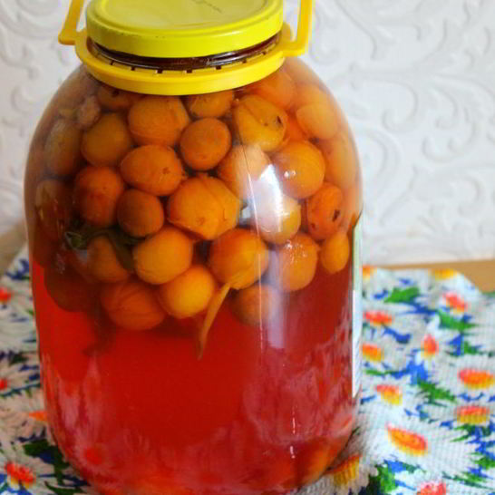 Рецепт компота из мелкой сливы с мятой