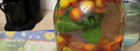 компот из мелкой сливы с мятой. Шаг 2