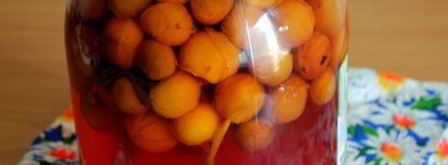 компот из мелкой сливы с мятой. Шаг 5