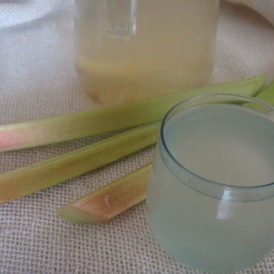 Рецепт компота из ревеня