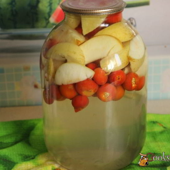 Рецепт компота из шиповника и яблок на зиму