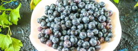 компот из синего винограда на зиму. Шаг 4