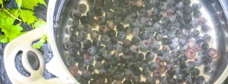 компот из синего винограда на зиму. Шаг 6