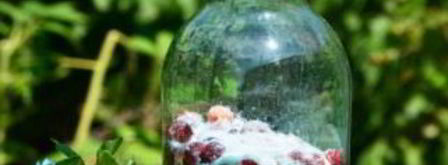 компот из вишни и малины. Шаг 3