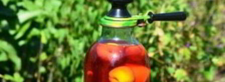 компот из вишни и малины. Шаг 5