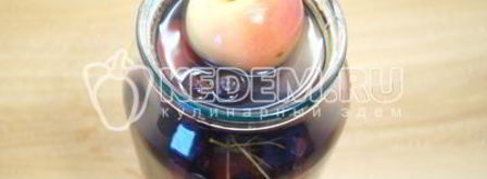 компот из яблок и черноплодной рябины. Шаг 8