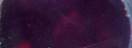 компот из замороженных ягод. Шаг 3