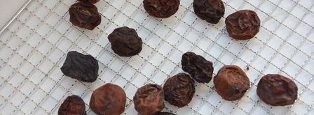 компотная смесь. Шаг 17