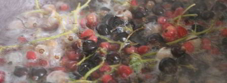 смородиновый компот с корицей. Шаг 2