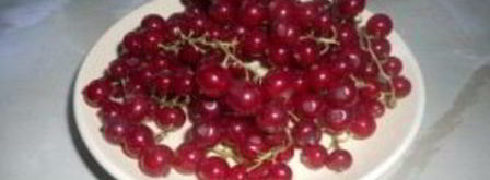 смородиновый компот. Шаг 2