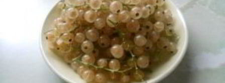 смородиновый компот. Шаг 3