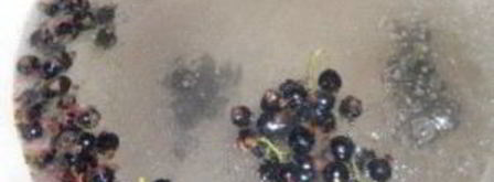 смородиновый компот. Шаг 5