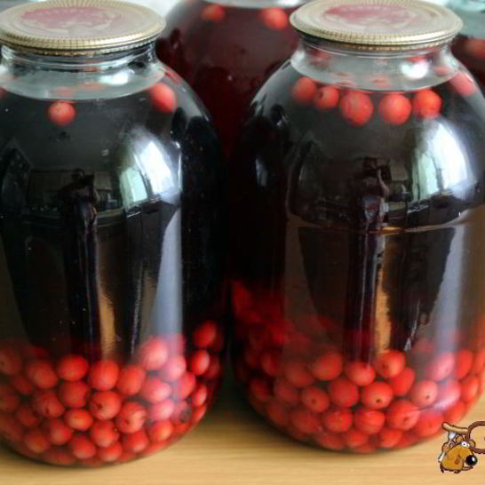 Рецепт вишневого компота на зиму